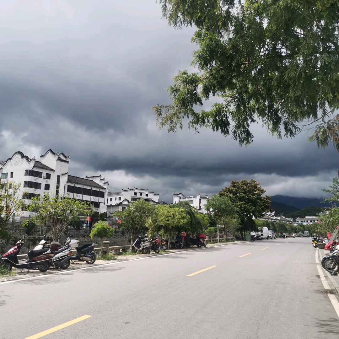 夏沫