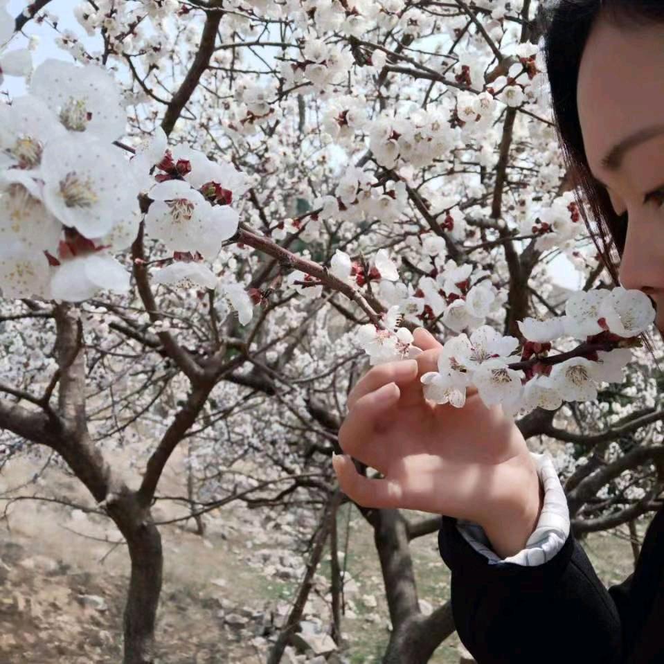 刘洁果蔬原产地直供