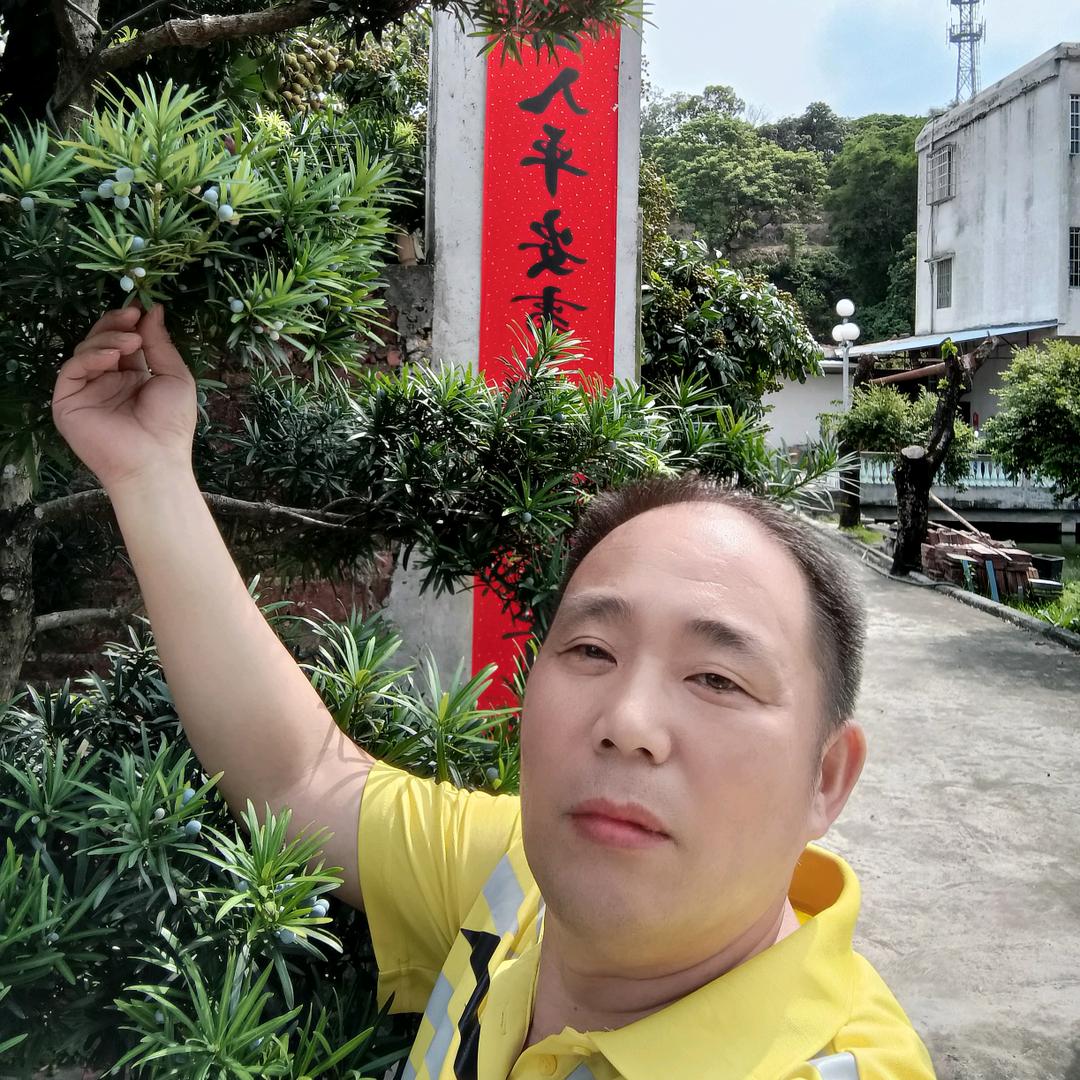 广东鹏诚音响