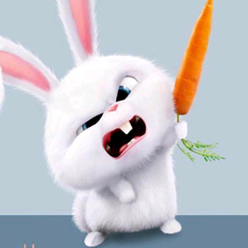A🥕晴天⁵²º₁₃₁₄❦