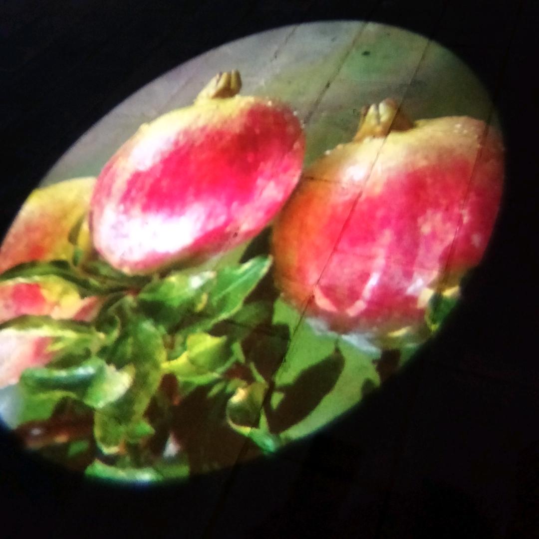 雪怕太阳草怕霜