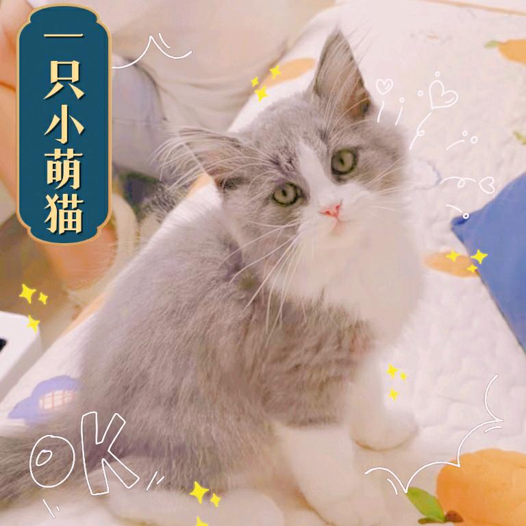 🌈小团团