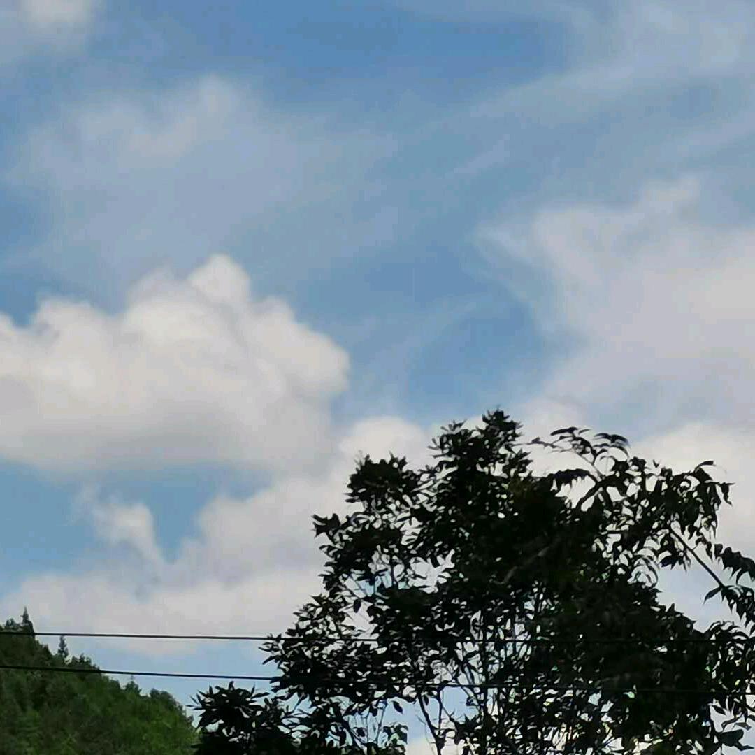 随遇而安.