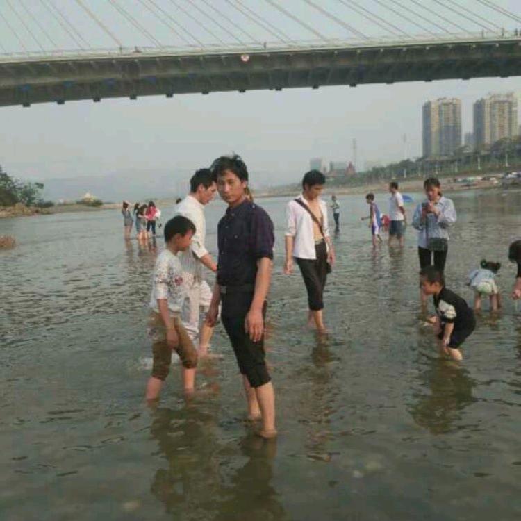 杨哥师傅