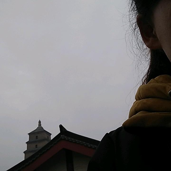 孟孟