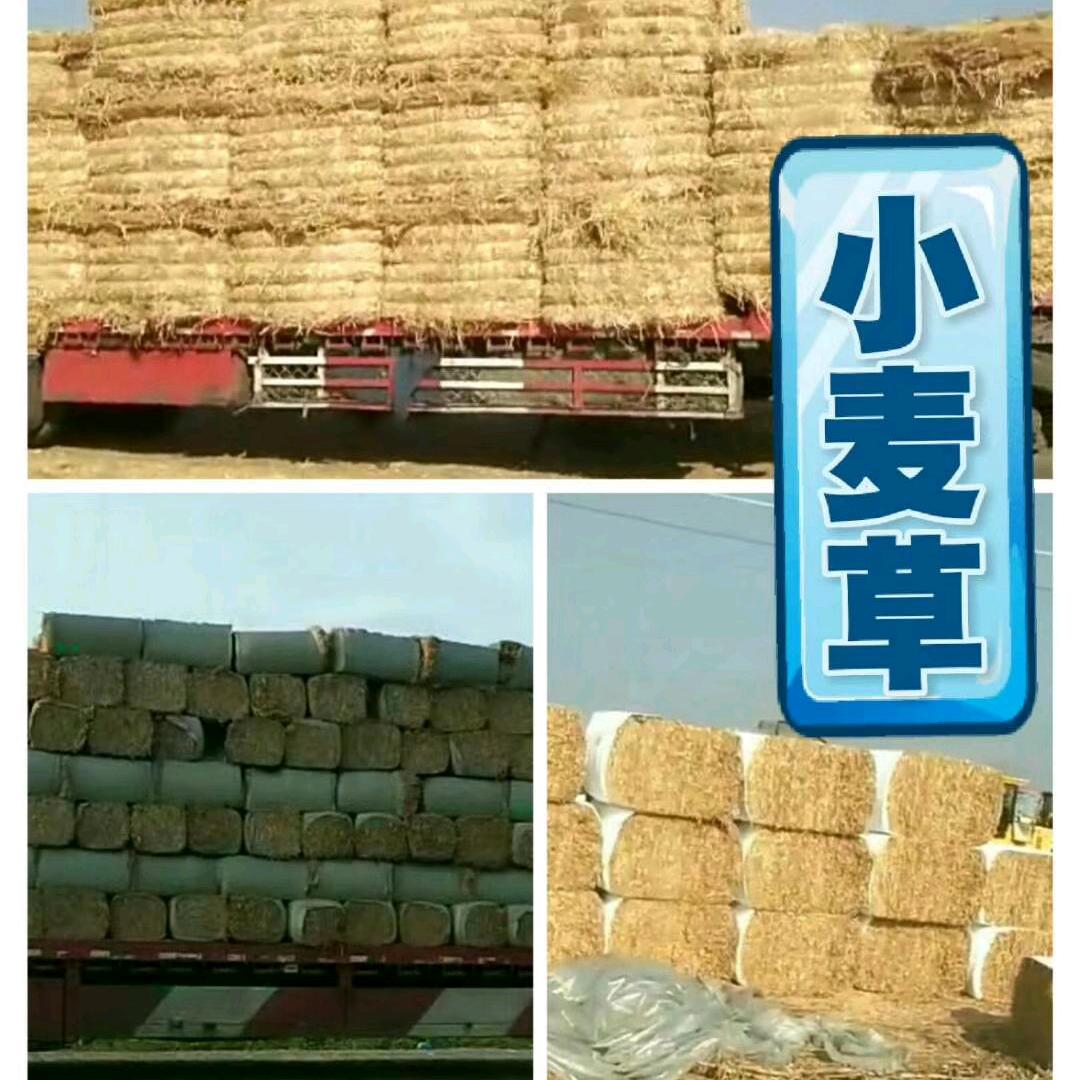 汇龙牧业