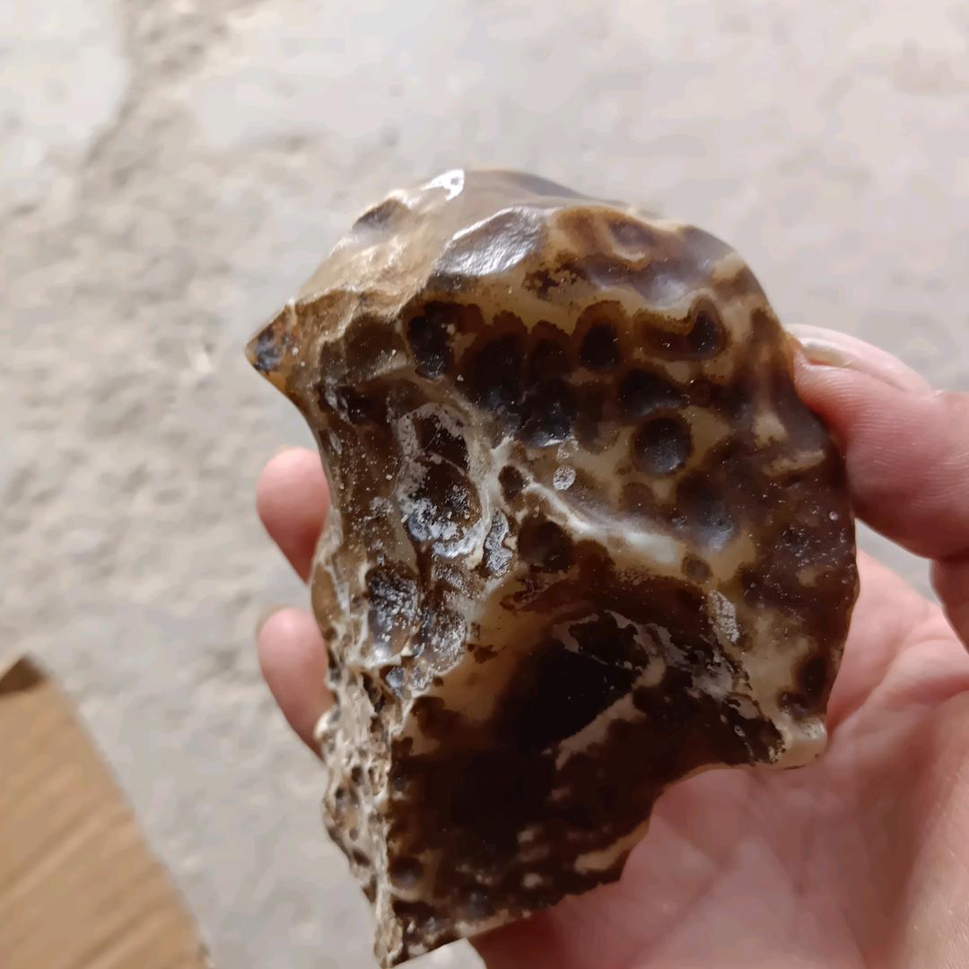 玫瑰花《奇石爱好者 》