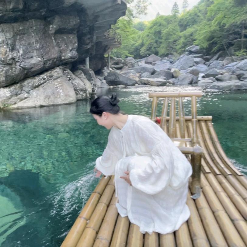 一只河狸