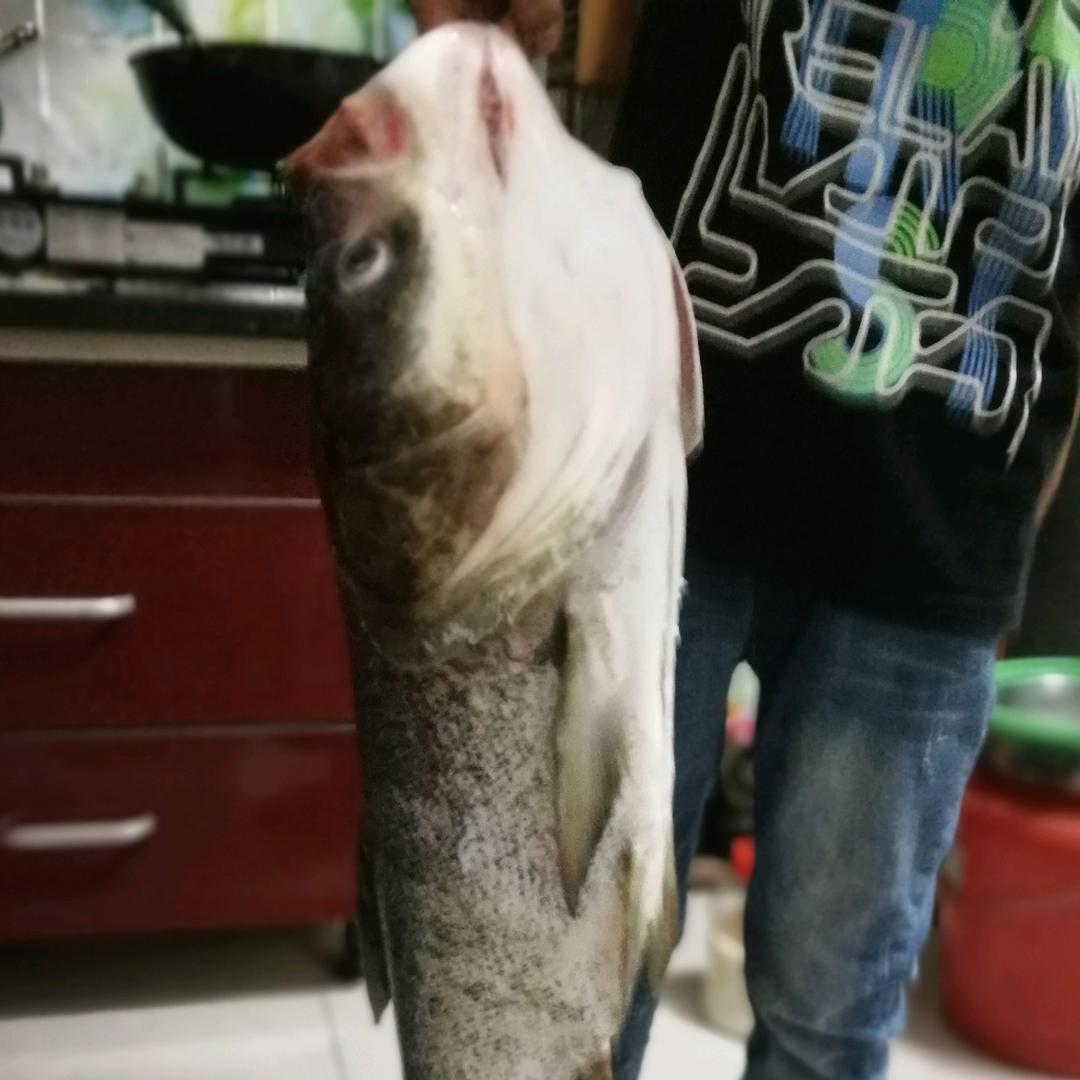 硕哥