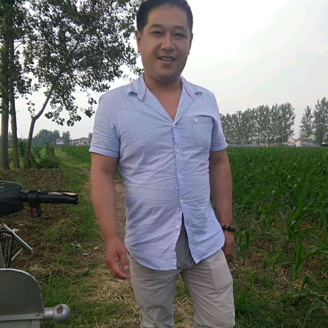 你真我也真