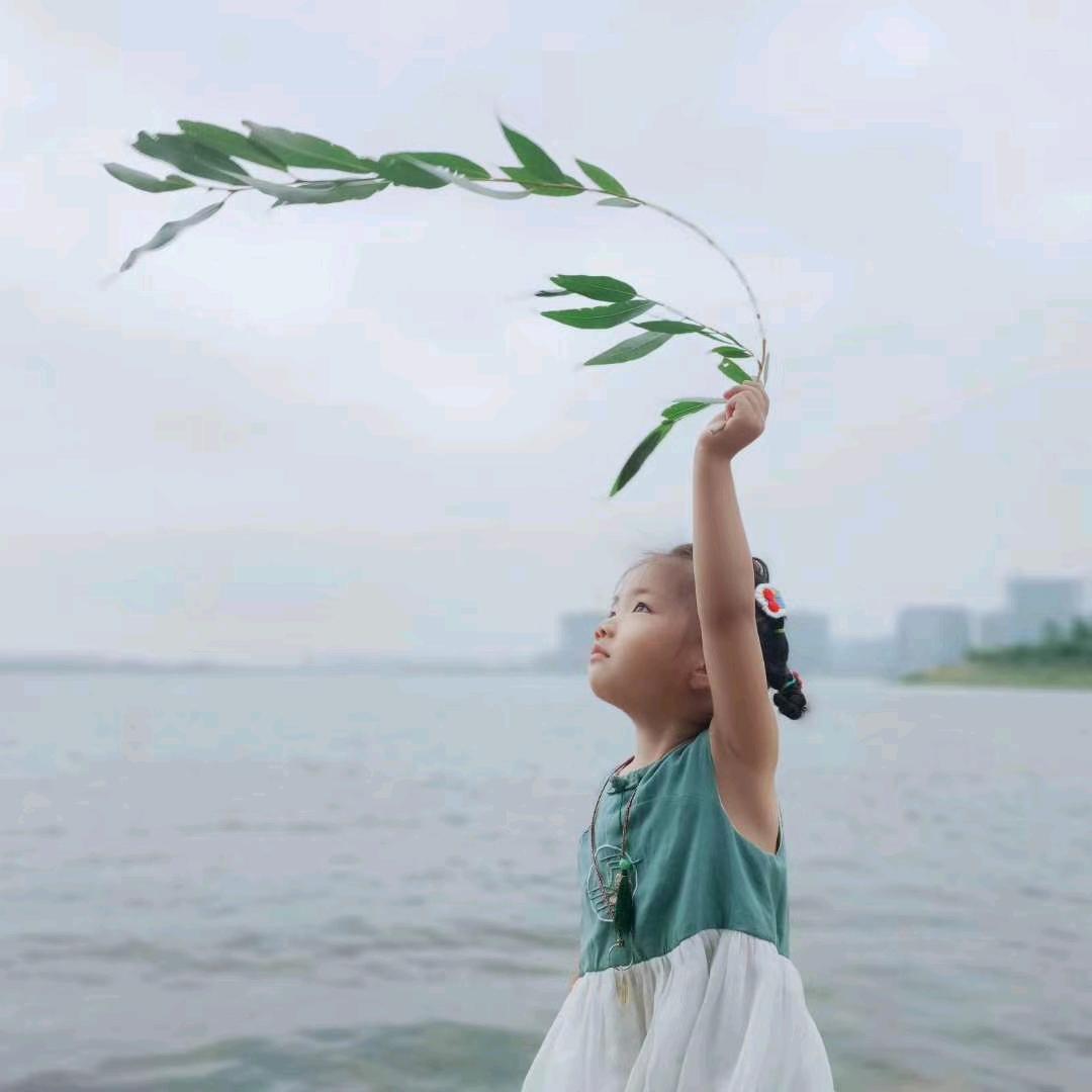 张鱼小丸子