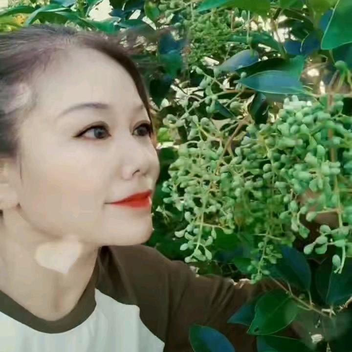 清雅
