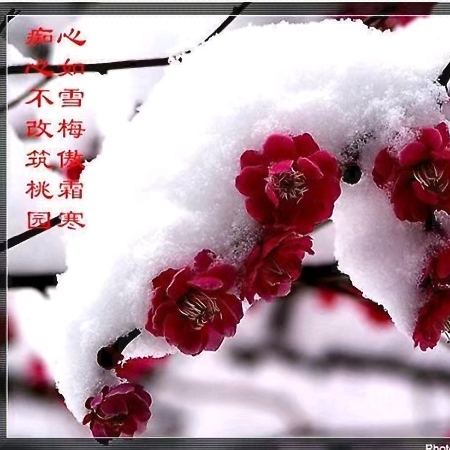 梅子  @