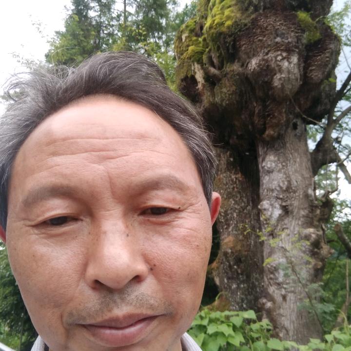 全克甲