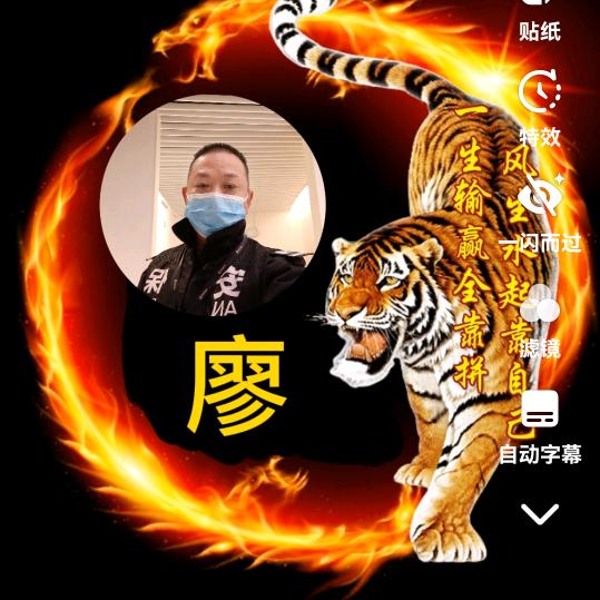 深山里的老虎🐯