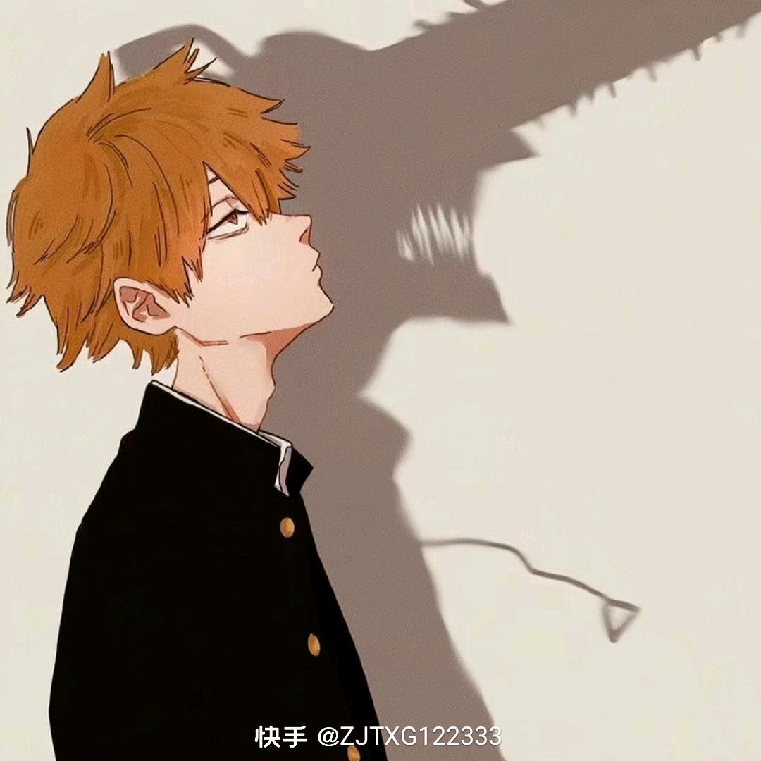 暗影骑士