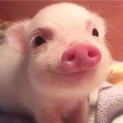 2025年乡下小姐💋阿花