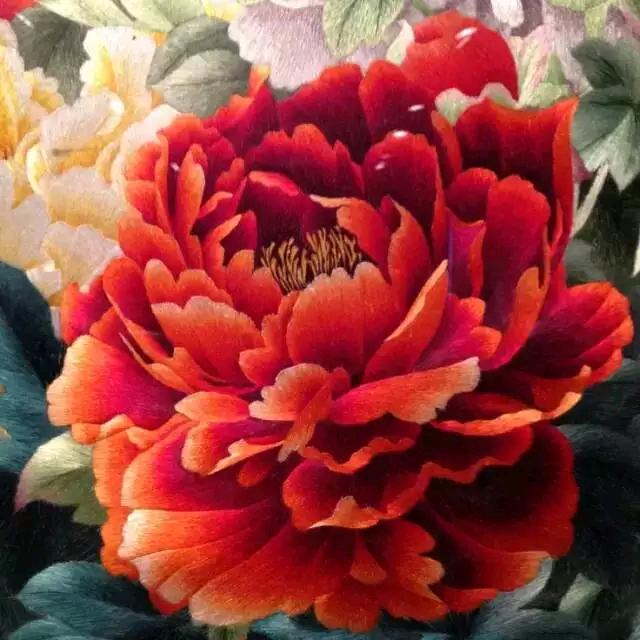 芦苇