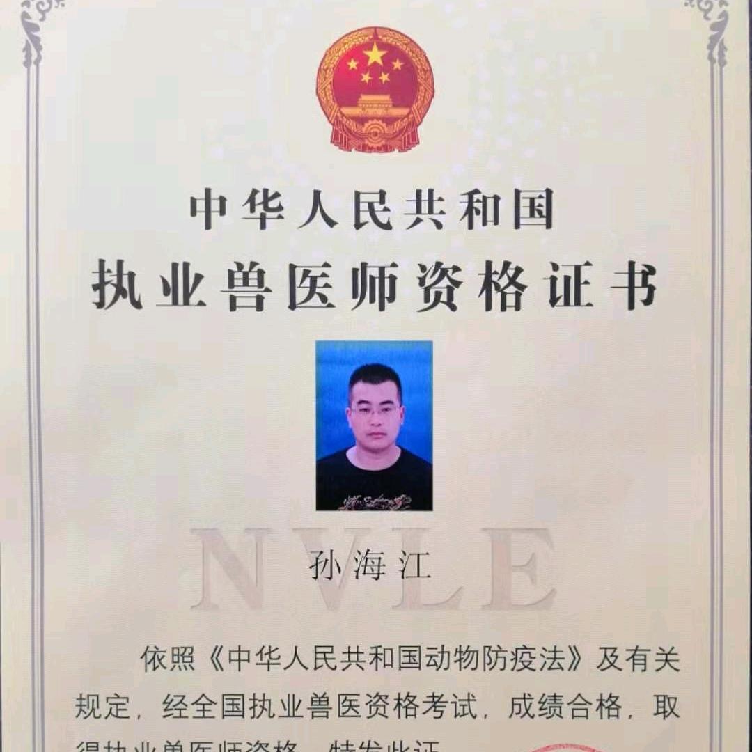 潼阳孙医师动物全科