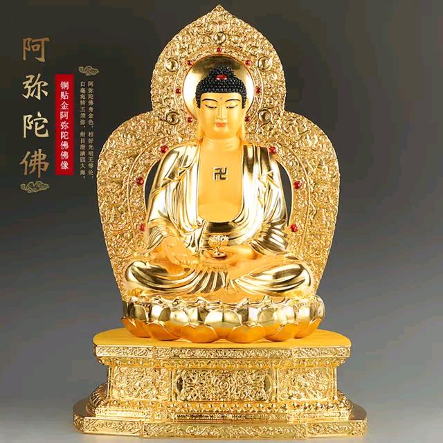 广平县新光明眼镜