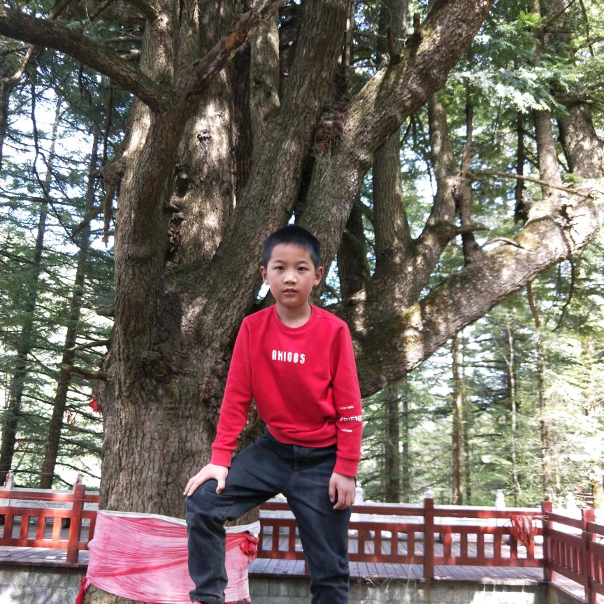 狄老二