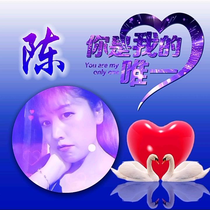 🌹🔥《前陈似锦》👾👻