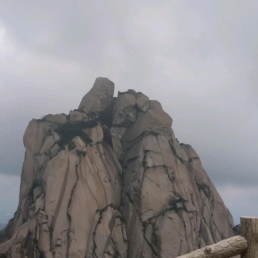 逆行者