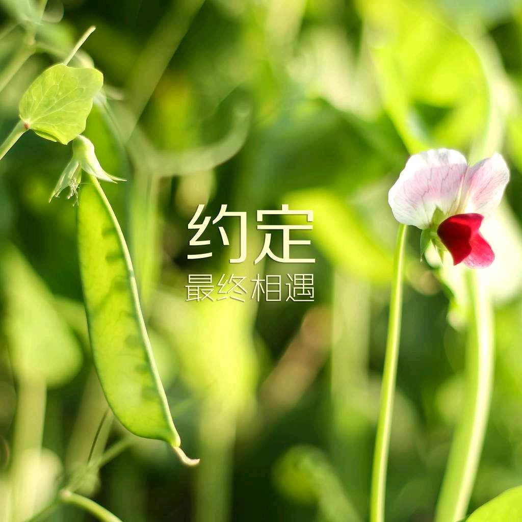 小程