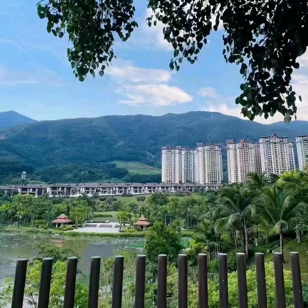 风雨过后就是阳光