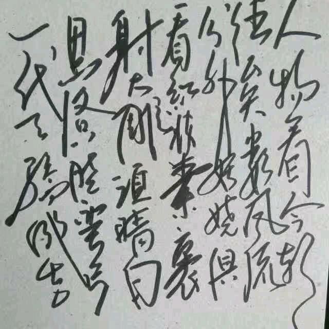 静默苗
