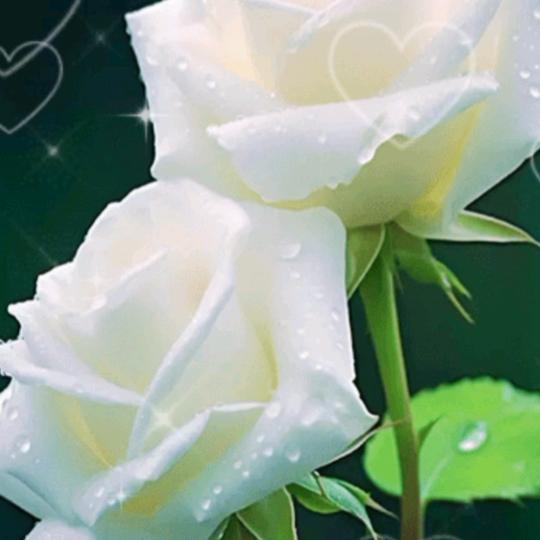 用户2966691118530保持沉默。