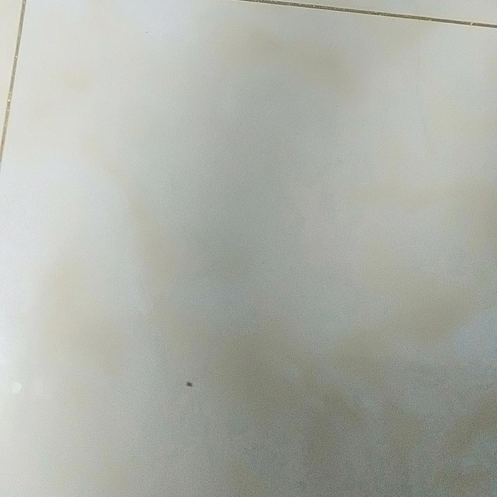陌陌康康