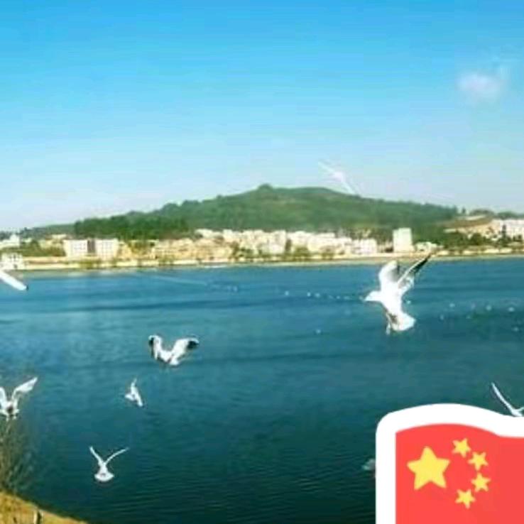 何浪