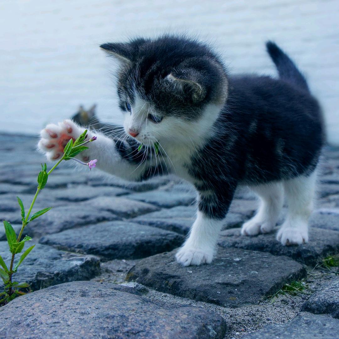 🌙代表我的❤️