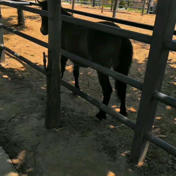 贤贤.钰辰