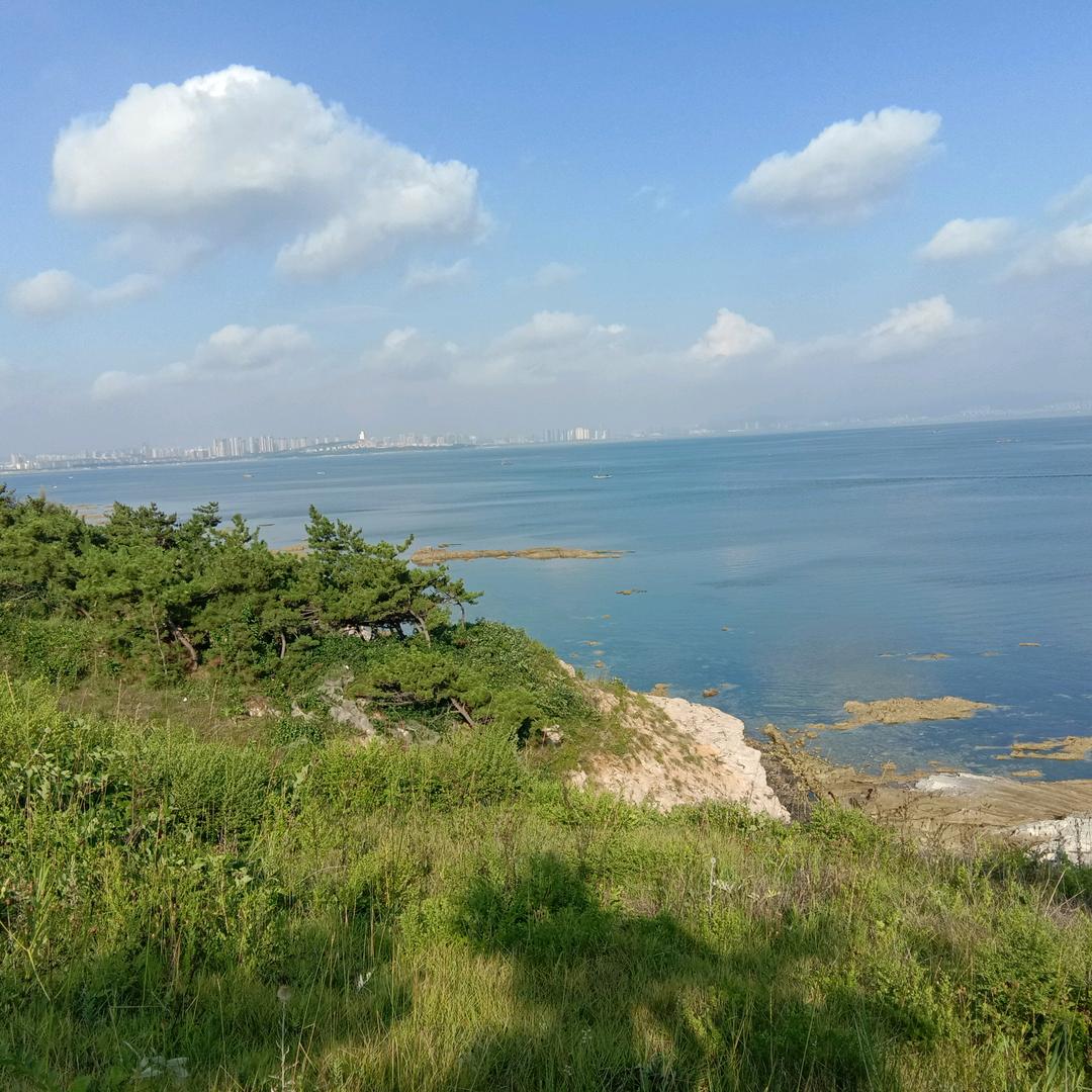 破茧成蝶