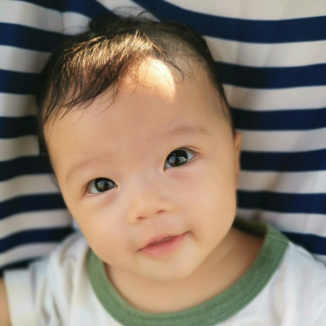 卷毛大眼小海豚