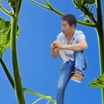潇洒一点通
