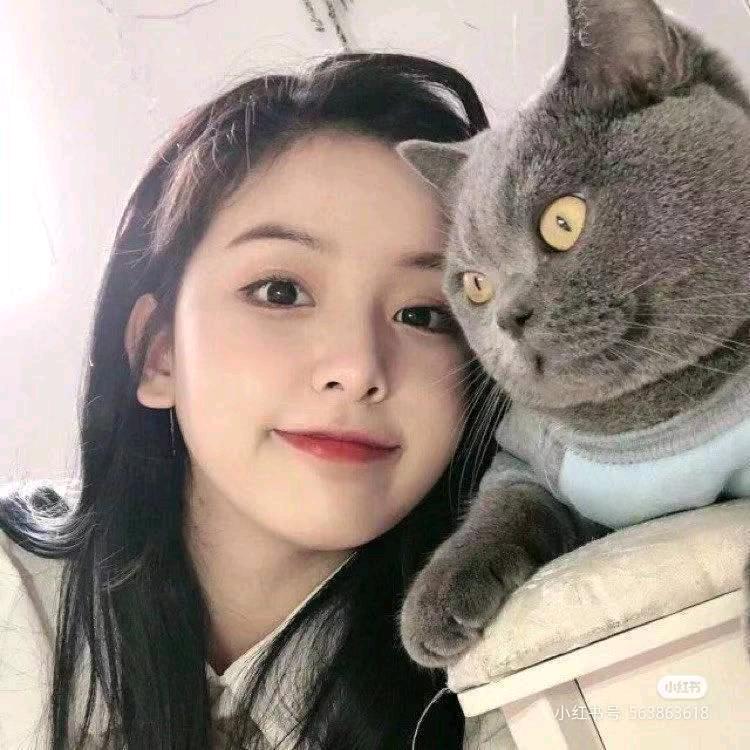 招招招人