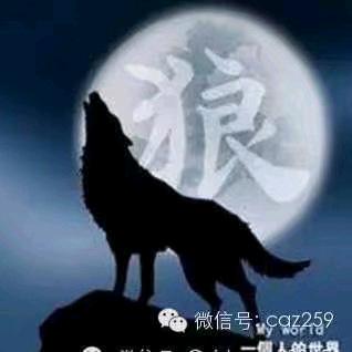 野狼