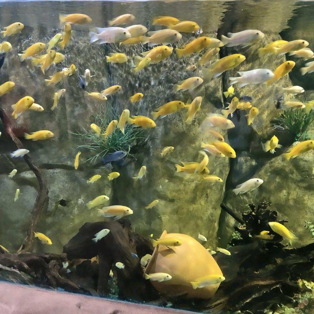 要好好得