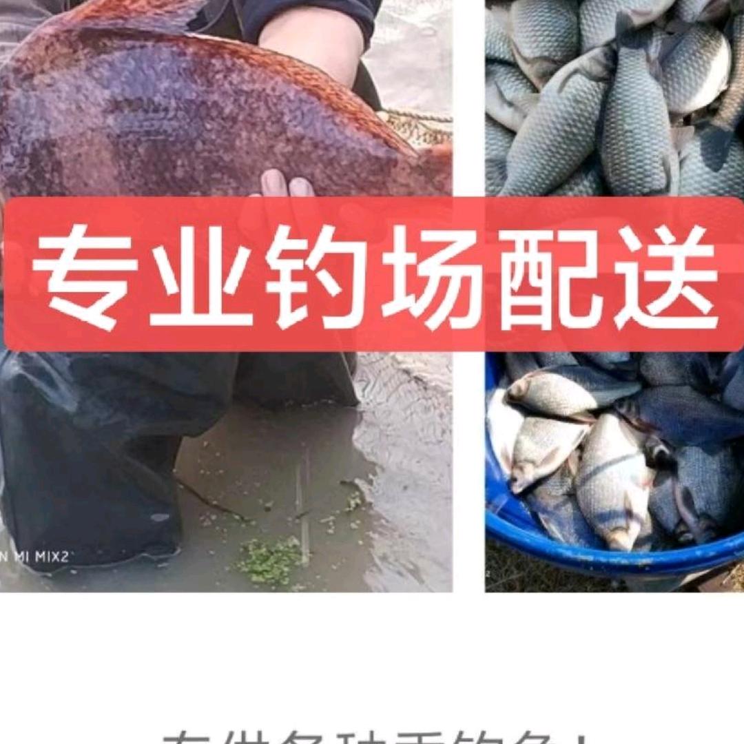 叶子牌专业钓场配送