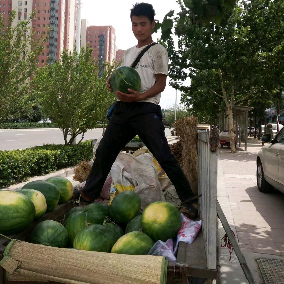 河南伙计老三