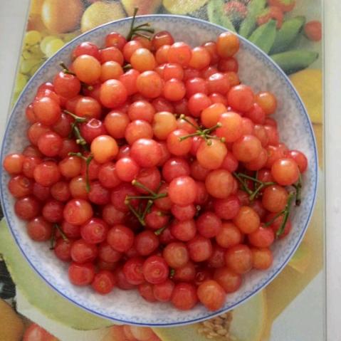 🍒笑笑💞🌸🍒