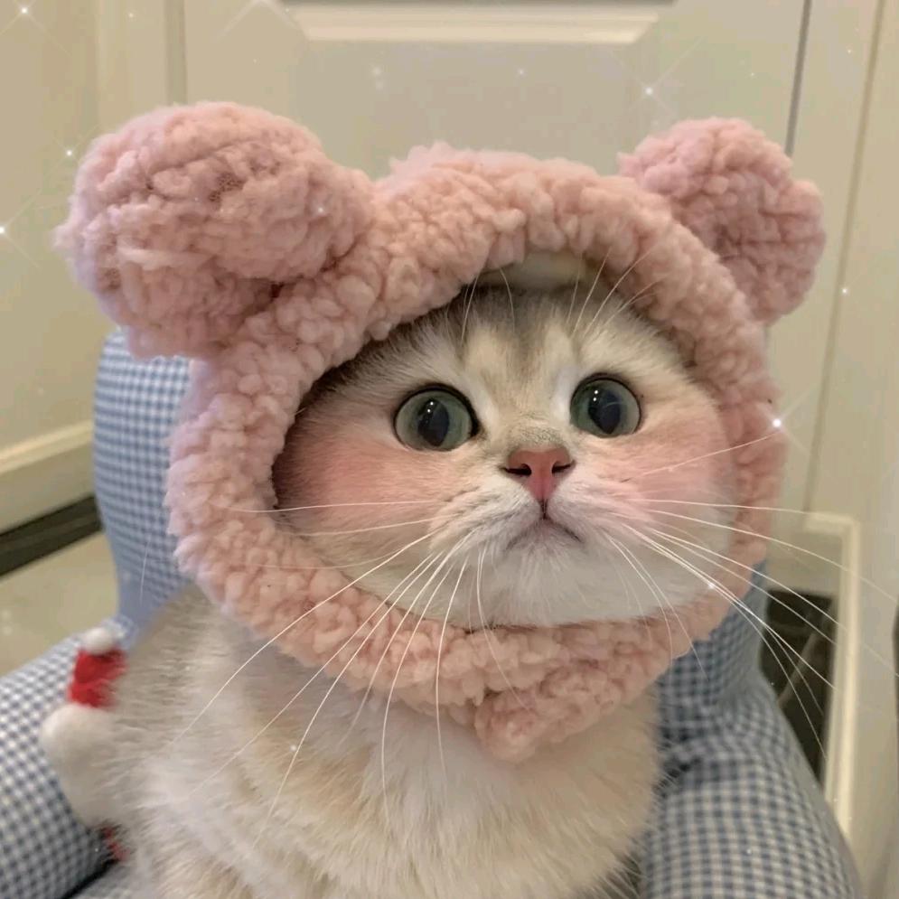 Boss云💕💞模板创作人