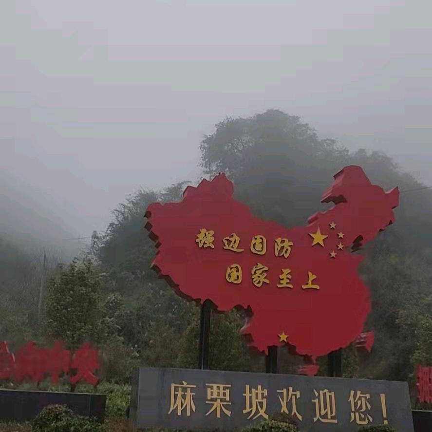 我在等风也等你