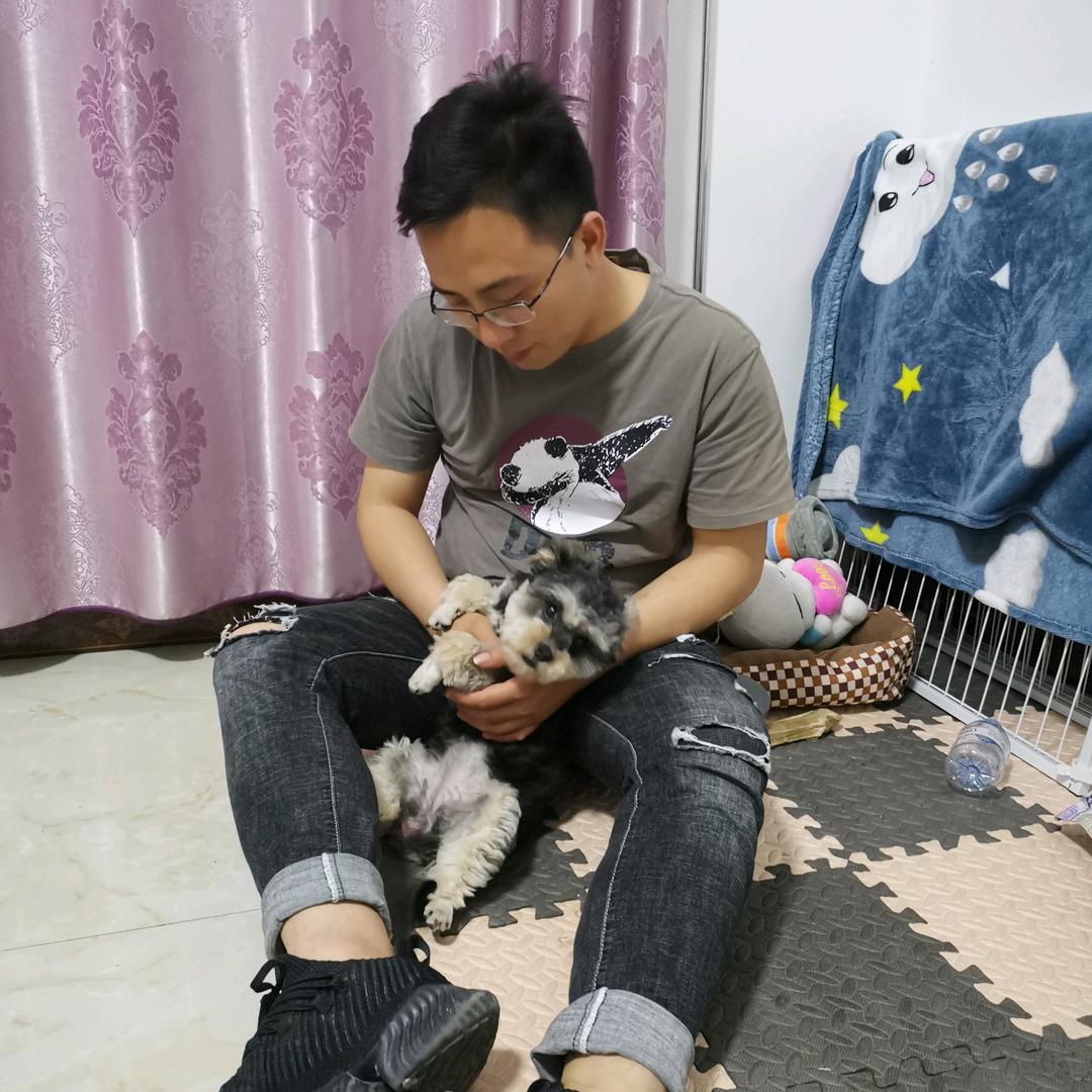 河池佛系卖车先生