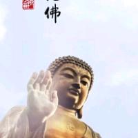 为爱停留