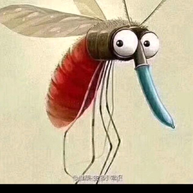 （蚊子）