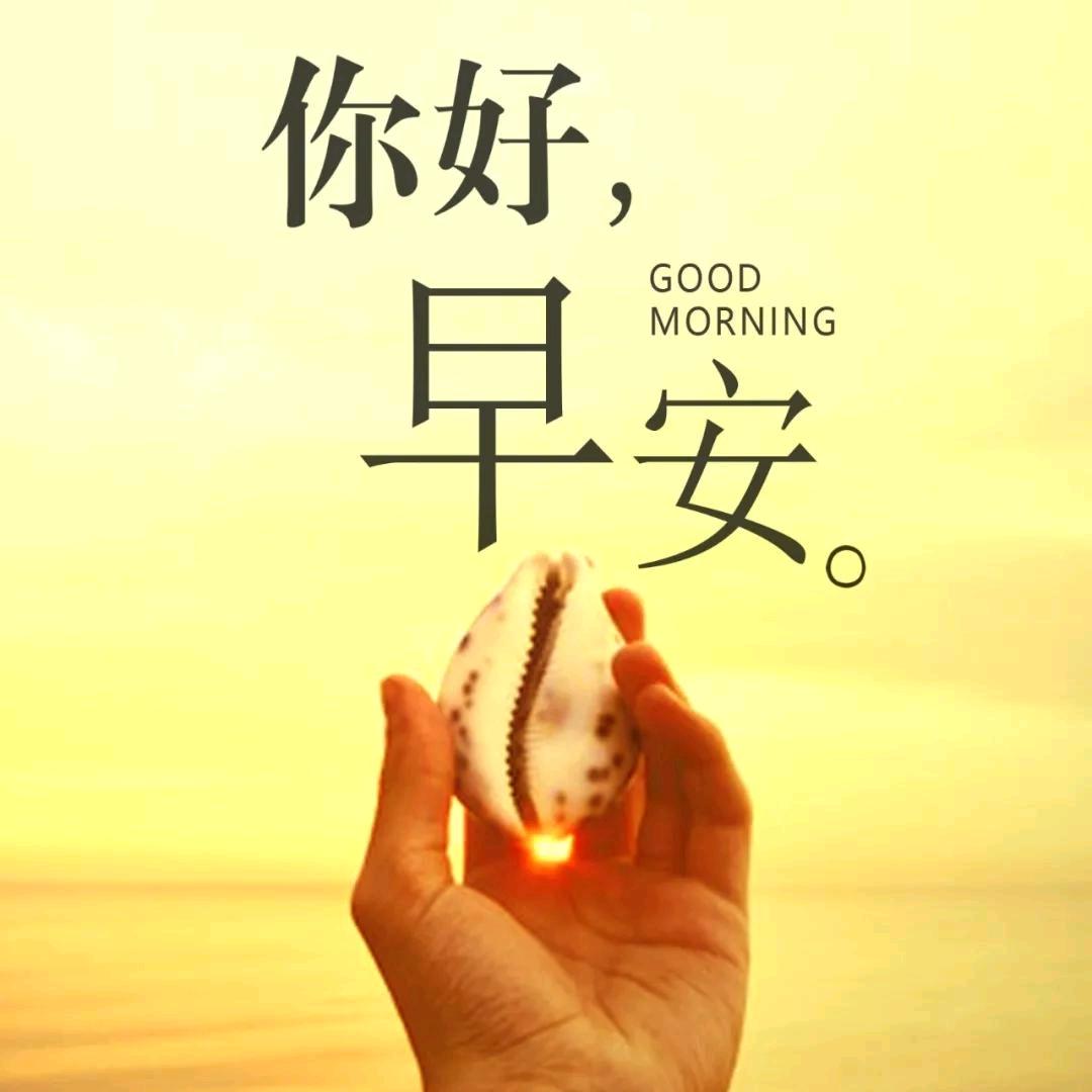 淘淘热门购选